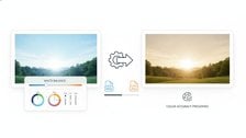 White balance correction and image conversion tool